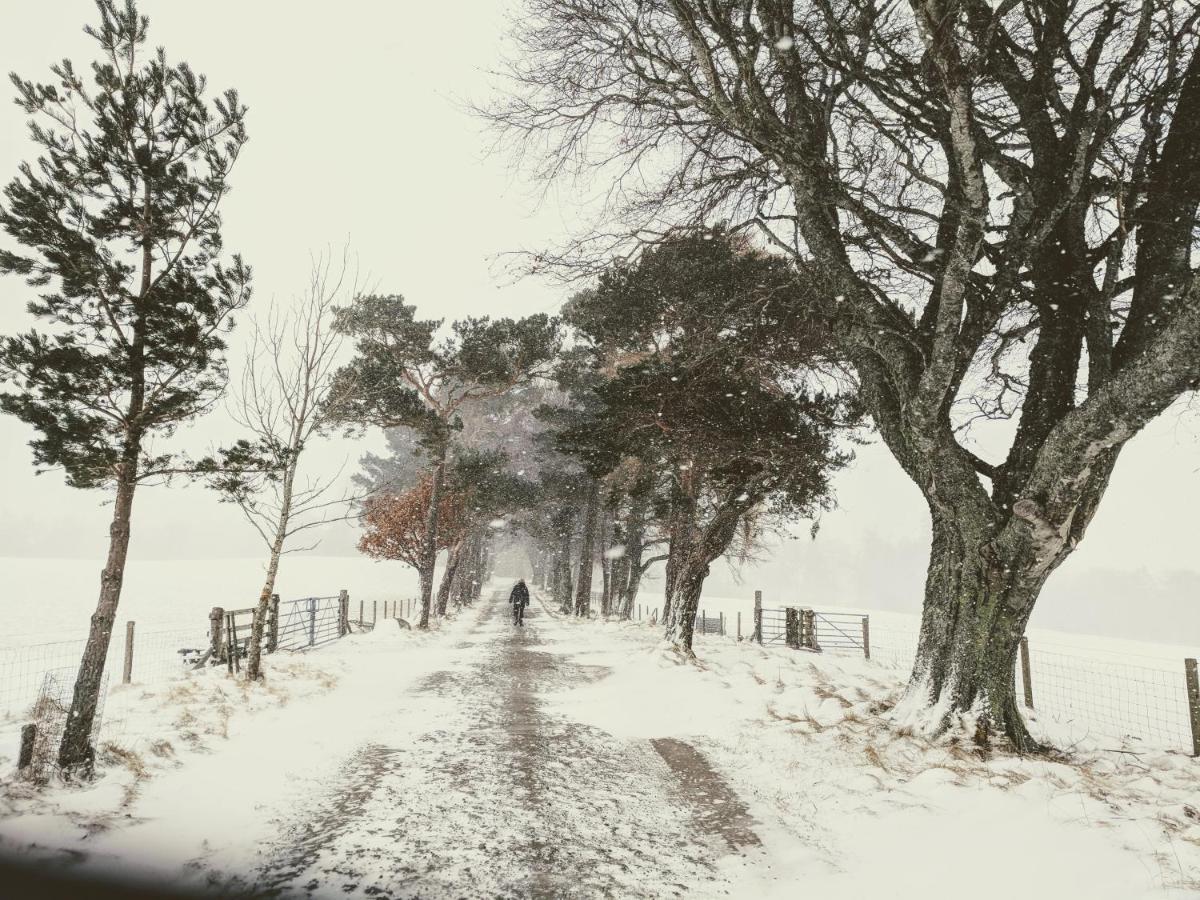 Glentruim Homestay B&B And Glamping Pods Newtonmore Esterno foto