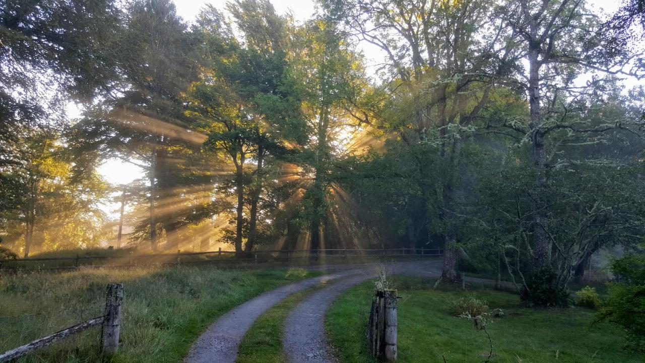 Glentruim Homestay B&B And Glamping Pods Newtonmore Esterno foto