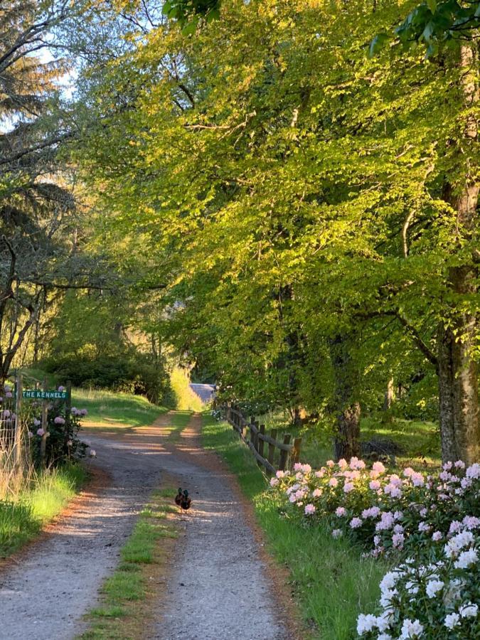 Glentruim Homestay B&B And Glamping Pods Newtonmore Esterno foto